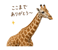 840390273