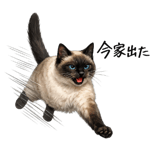840390905