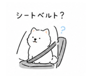 840392244