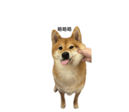 840394650