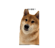 840394654