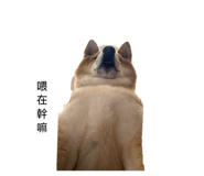 840394655