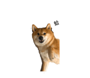 840394656