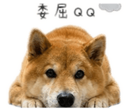 840395004