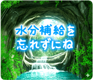 840395880