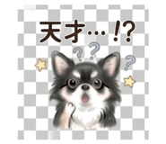 840396253