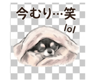 840396255