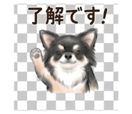 840396262