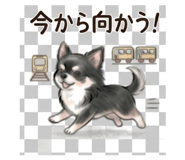 840396267
