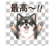 840396270