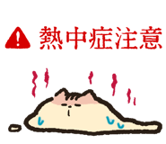840396316