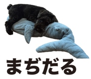 840399858