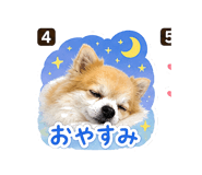 840400236