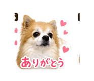840400237