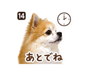 840400246