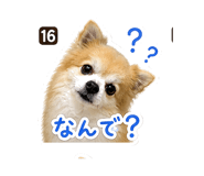 840400248