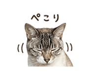 840400843