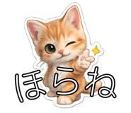 840401497