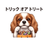 840403330