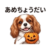 840403340