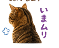 840404388