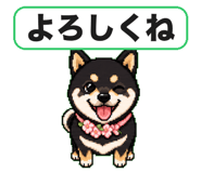 840404521