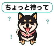 840404540