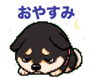 840404550