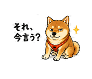 840405529