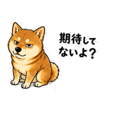 840405532