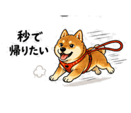 840405535