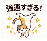 840405607