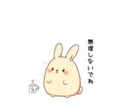 840406801