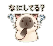 840406874