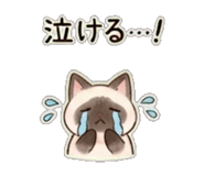 840406879