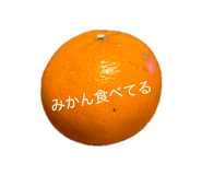 840408170
