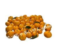 840408176