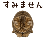 840408317