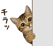 840408332