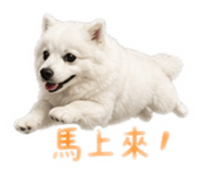 840409077