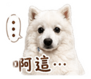 840409092
