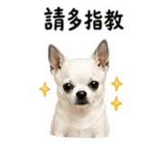 840409466