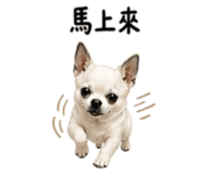 840409470