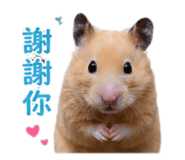 840409694