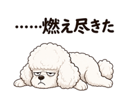 840410571