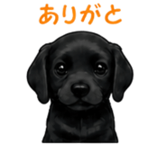 840410902