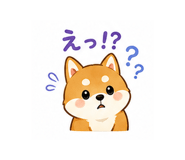 840411697