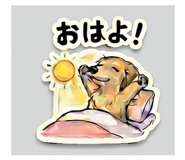 840412670