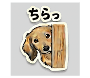 840412676