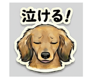 840412682